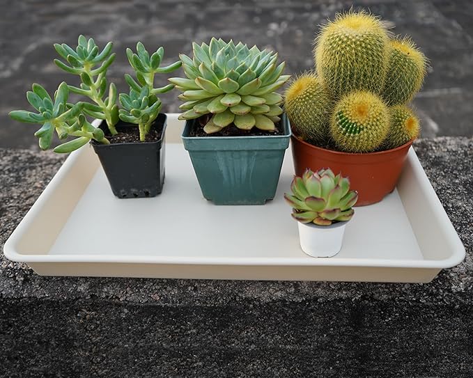 VUWEZ Rectangle Plant Tray, Plant Drip Tray, Plant Pot Saucers, Plant Germination Trays, Plant Saucers, 14.5'' x 11'' x 1.5'' (4 pack), Beige