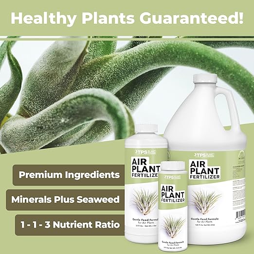 Air Plant Fertilizer – Concentrated Liquid- Soak or Spray Feeding - Plant Food for All Tillandsia (8 oz)