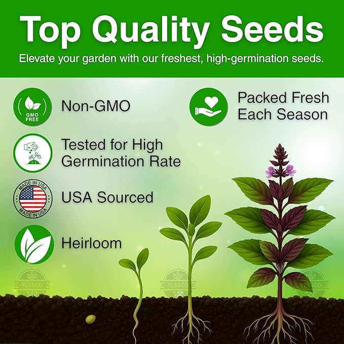 1549+ Thai Basil Seeds, Non-GMO Herb Seeds for Planting - Fast Growing, High-Yield, & Authentic Flavor - (Ocimum basilicum VAR.thyrsiflora)