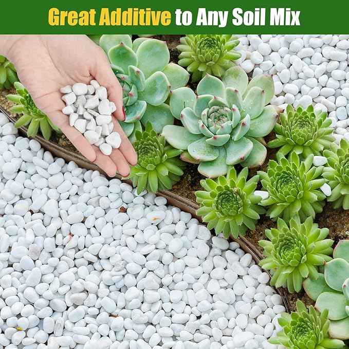 Organic Chunky Perlite for Plants (0.4"-0.8" in Diameter), Natural Horticultural Soil Additive Conditioner Mix, Improve Drainage and Ventilation, Enhance Soil Health and Root Growth (10 Quarts)