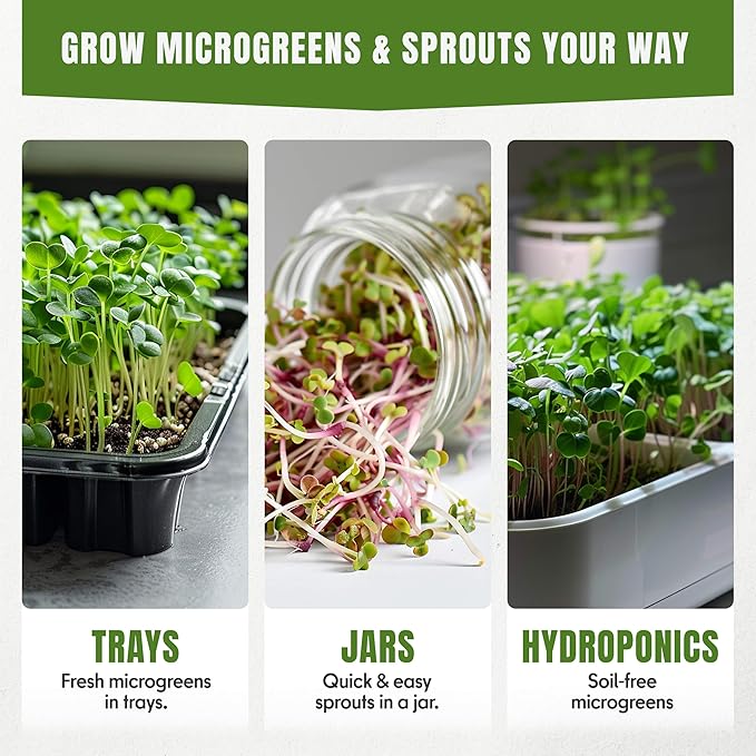 SproutMe Microgreens & Sprouting Seeds Variety Pack – 5 Varieties for Indoor Growing & Hydroponic Garden Use, Non-GMO Heirloom, 5,050+ Seeds for Planting Total – Basil, Broccoli, Radish, Pea & Spinach