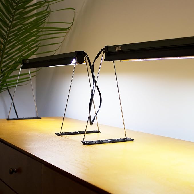 Ferry Morse Indoor Grow Light Fixture with T5 Bulb, Compact Size 24 x 11in., Easy to use and Setup, for Seed Starting, Growing seedlings & cuttings Indoors Plus Connector Cord, 2 Pack