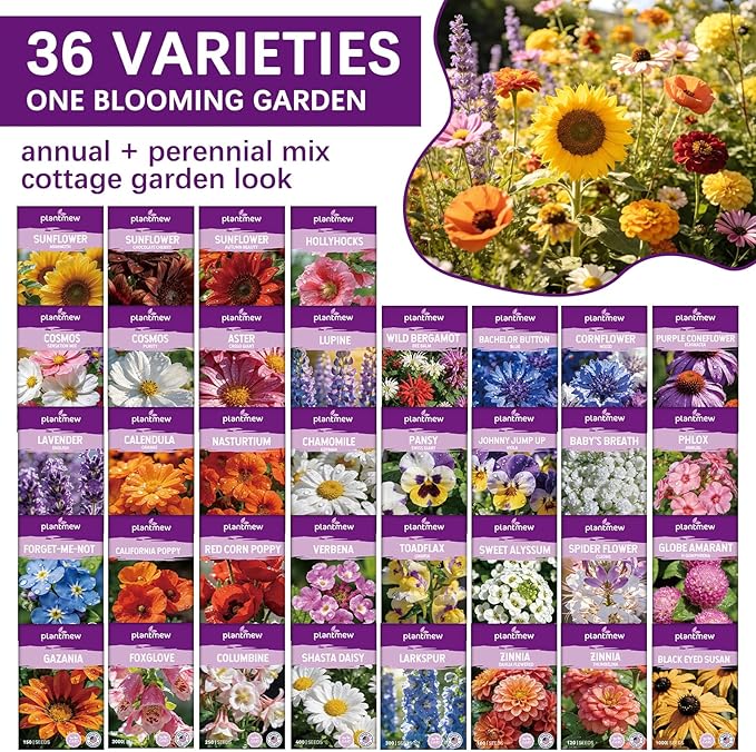 Wildflower Seeds Mix 1/2 lb 36 Varieties Perennial& Annual Flower Seeds Set for Planting，Non-GMO Heirloom Seed, Bulk Wild Flower Seeds for Indoor & Outdoors, Individual Seed Packets for Home Garden