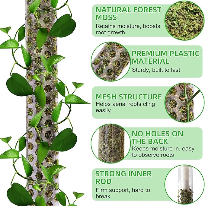 55 Inch Moss Pole Monstera Plant Support, 4 Pack 17 Inch Plant Support Stakes for Indoor Climbing Plants, Stackable Sphagnum Moss Pole Sticks for Garden Potted Planter, Pothos, Philodendron