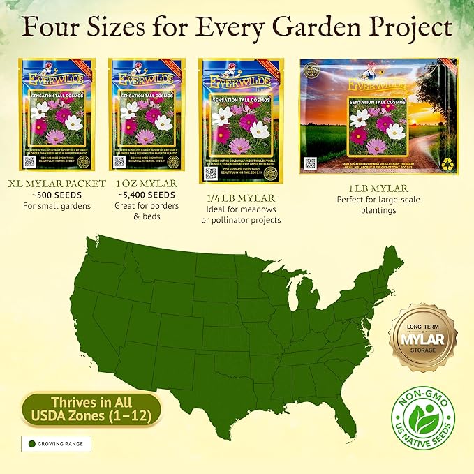 Everwilde Sensation Tall Cosmos Seeds 1 Oz Mylar 5,400 Seeds – Easy to Grow Annual Wildflowers – High Germination & Attracts Pollinators – Great for Gardens, Pots & Bouquets – XL Packet
