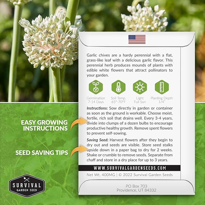 Survival Garden Seeds 2 Packs Garlic Chives Seed for Planting - Packet with Instructions to Grow Delicious Perennial Herbs in Your Home Vegetable Garden - Non-GMO Heirloom