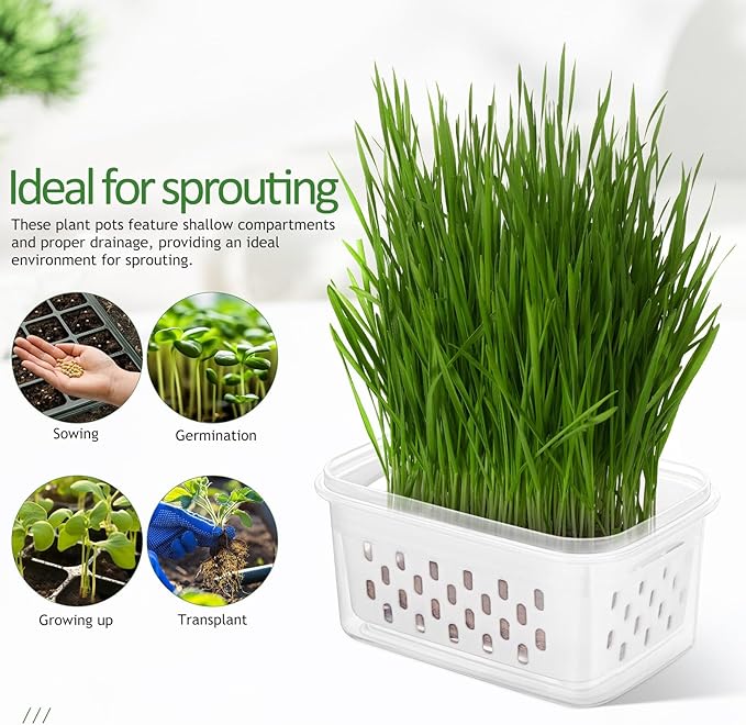 Alasum 2pcs Small Plant Nursery Pots Soilless Sprouting Trays for Seed Germination and Indoor Gardening Accessories