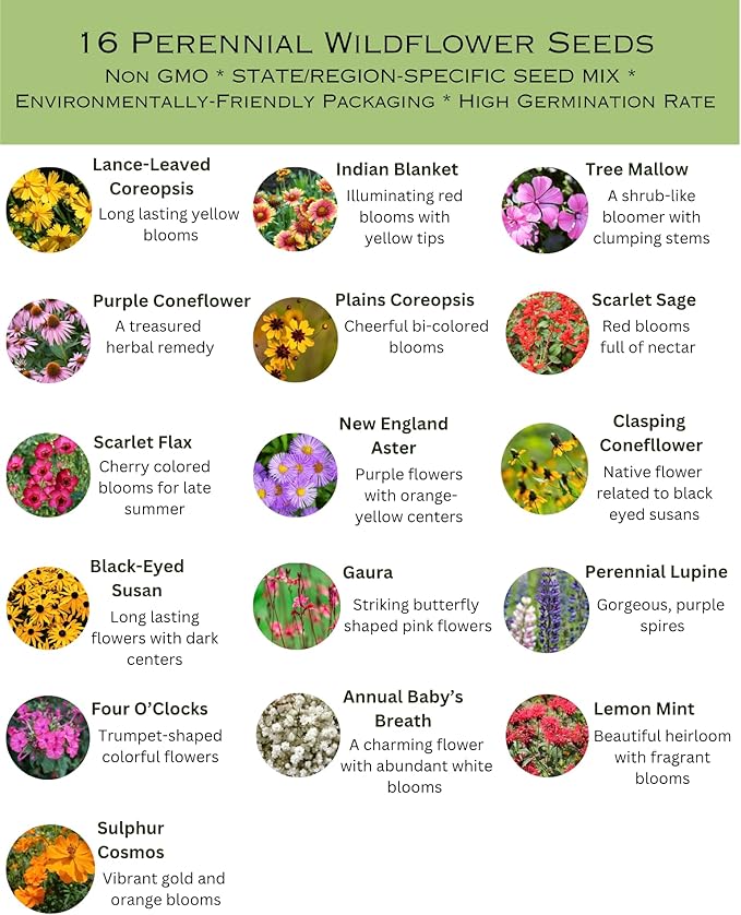 Alabama Bulk Perennial Wildflower Seed Mix 1lb Covers 2,000sq-ft - Attract Pollinators, Multi-Color Blooms - Southeast US Species Plant in Spring/Fall, Earth-Friendly Packaging (1/2 Pound)