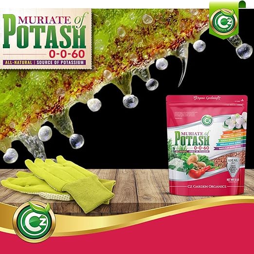 Muriate of Potash 0-0-60 Fertilizer Made in USA - MOP Potassium Plant Food for Indoor/Outdoor Plants, Flower Gardens, Fruit and Vegetable Gardens, Holistic Herbs, Trees and Green Lawns!