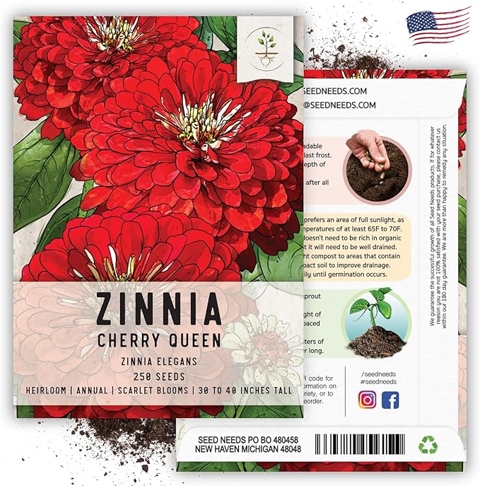 Seed Needs, Cherry Queen Zinnia Seeds - 250 Heirloom Seeds for Planting Zinnia elegans - Attracts Butterflies & Pollinators, Great Cut Flowers (2 Packs)