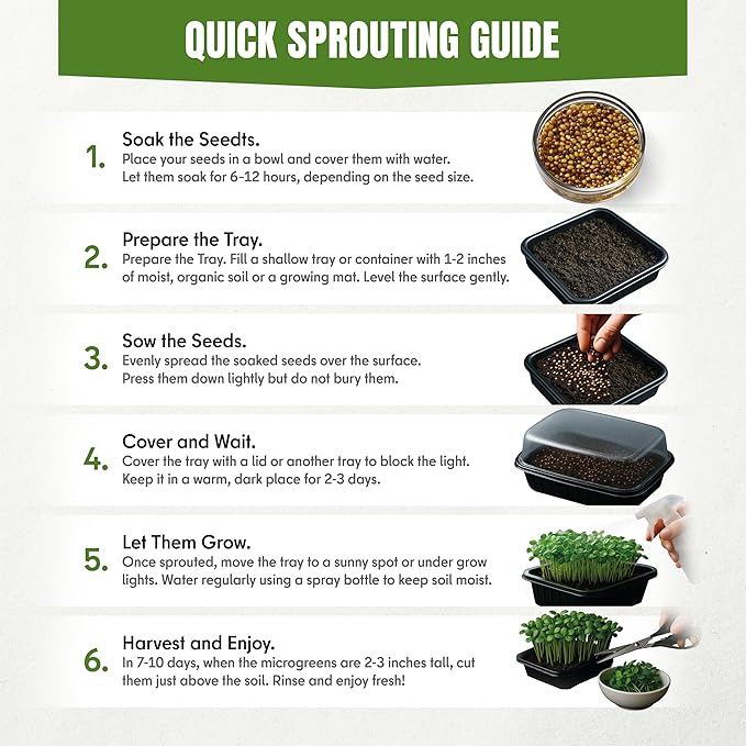 SproutMe Microgreens & Sprouting Seeds Variety Pack – 5 Varieties for Indoor Growing & Hydroponic Garden Use, Non-GMO Heirloom, 5,050+ Seeds for Planting Total – Basil, Broccoli, Radish, Pea & Spinach