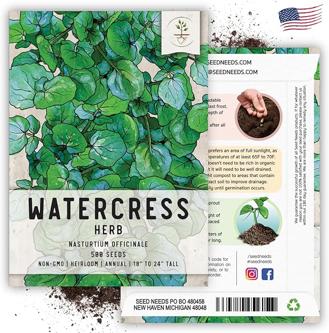 Seed Needs Watercress Seeds for Planting Nasturtium officinale - Non-GMO Heirloom & Untreated - Plant Your own Home Grown Culinary Herb Garden Indoors or Outdoors (5 Packs)