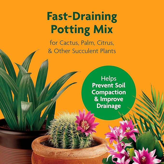 Miracle-Gro Cactus, Palm and Citrus Potting Mix, For Indoor or Outdoor Potted Plants, Great for Succulents, 8 qt.