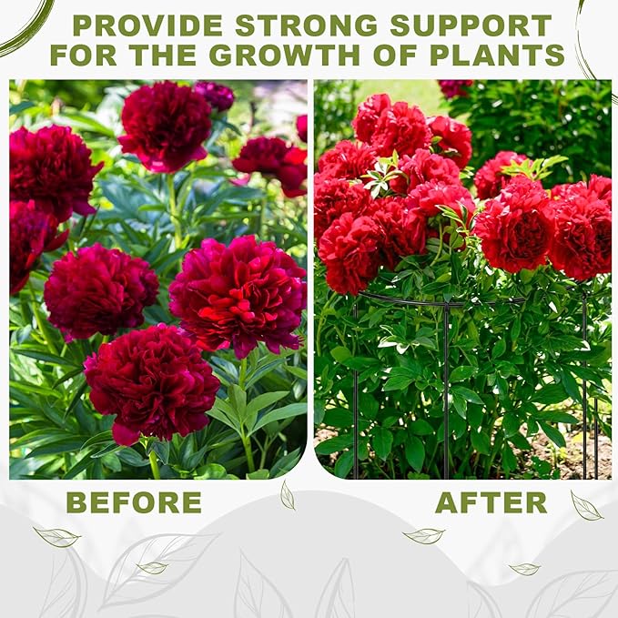 Geelin 15 Pack 12 x16 Inch Peony Cages and Supports Grow Through Metal Plant Supports Frame Rings Hoops for Outdoor Plants Peony Flowers Tomato Rose(Black)