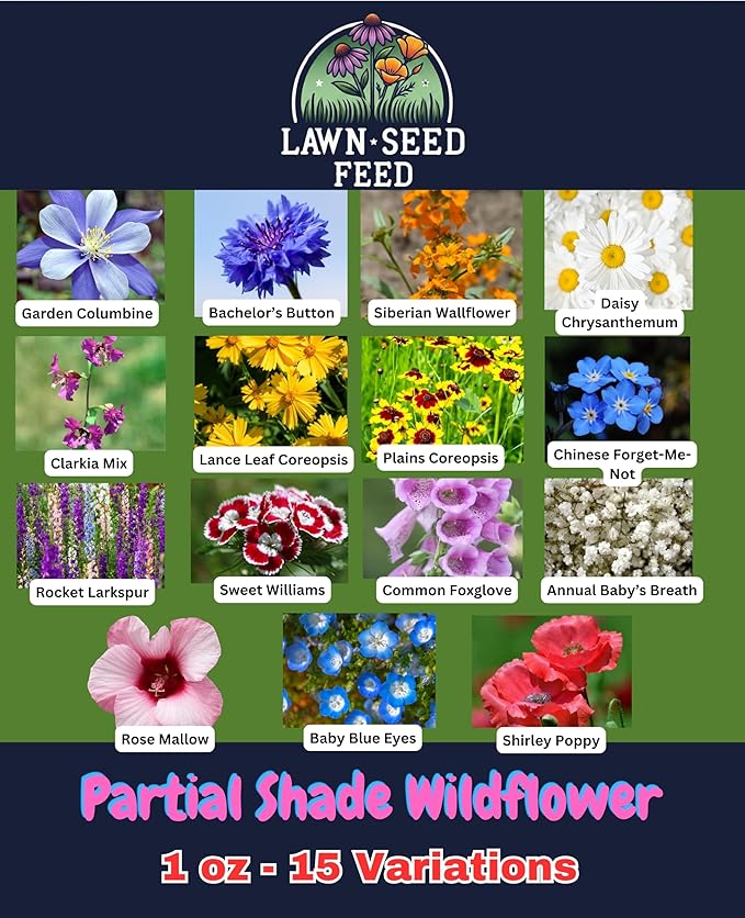Partial Shade Wildflower Mix Seed (1oz) – Shade-Loving Wildflowers that Produce Vibrant Blooms in Low-Light Areas and Dappled Sun. Perfect for Yards, Garden beds, Fence Lines, and Woodland Edges.