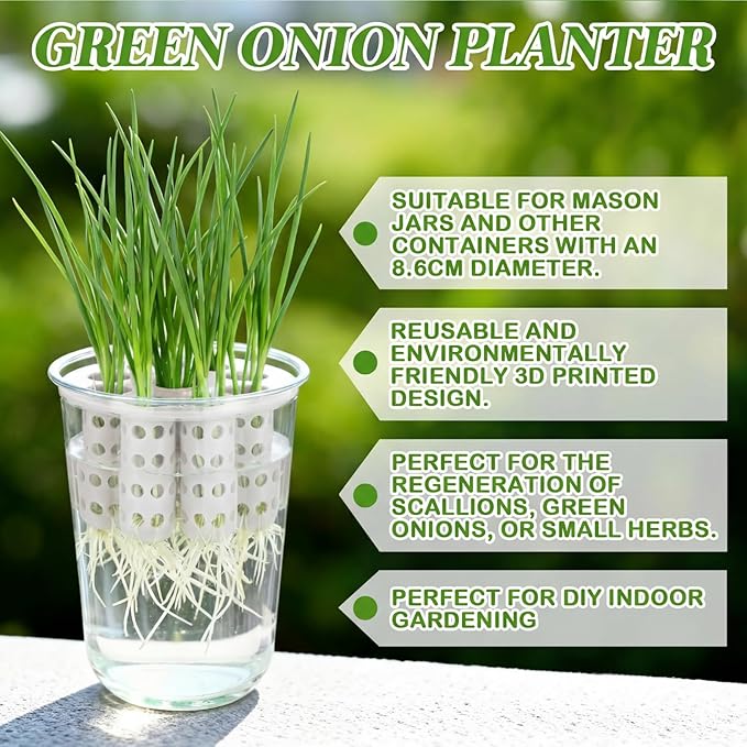 2 Pack Green Onion Planter Scallion Grower Seed Sprouting Kit Compatible with Regular Mouth Mason Jar for Windowsill Garden, Hydroponics, and Propagation Hydroponics Enthusiasts (White)