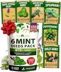 HOME GROWN Mint Seeds Variety Pack - 870+ Heirloom Non-GMO USA Peppermint, Spearmint & More - Herb Seeds for Planting Indoor Outdoor Garden - Fresh Mint for Tea & Cooking