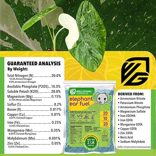 Wellspring Gardens Elephant Ear Food - Water-Soluble Plant Fertilizer - Premium 20-10-20 Blend (2 Pounds)