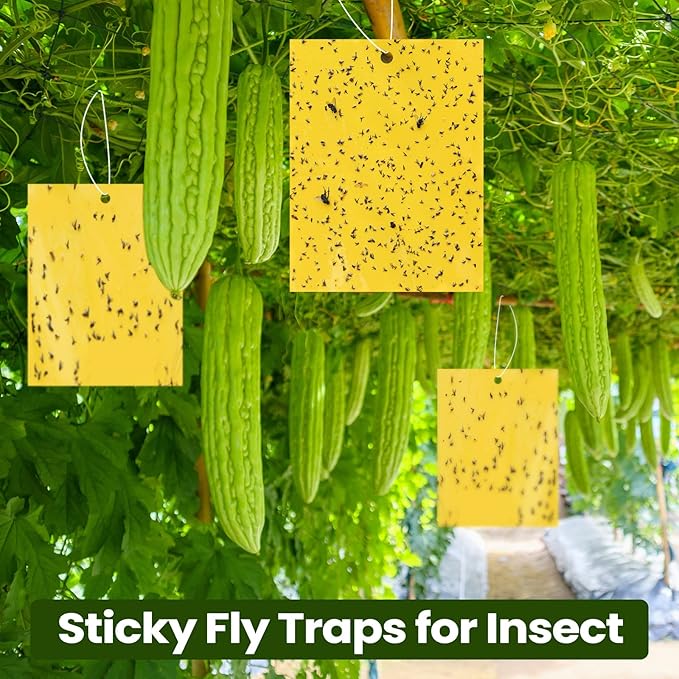 Qualirey 700 Pcs 6 x 8 Inch Yellow Sticky Traps for Plant Double Sided Sticky Trap with Twist Ties Fly Traps for Fruit Insect Fungus Bugs Indoor Outdoor