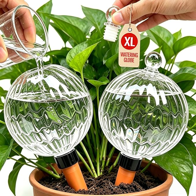 26oz Extra Large Self Watering Globes, Plant Watering Globes, Water Globes, Plant Water Bulbs, Watering Bulbs for Indoor Outdoor Potted Plants, Water Plants While Away 2-Pack