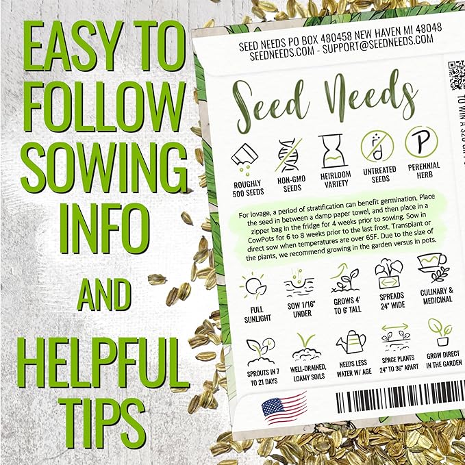 Seed Needs Lovage Seeds for Planting - Non-GMO Heirloom & Untreated Herbs to Plant a Medicinal/Culinary Home Grown Herb Garden Indoors or Outdoors (1 Pack)