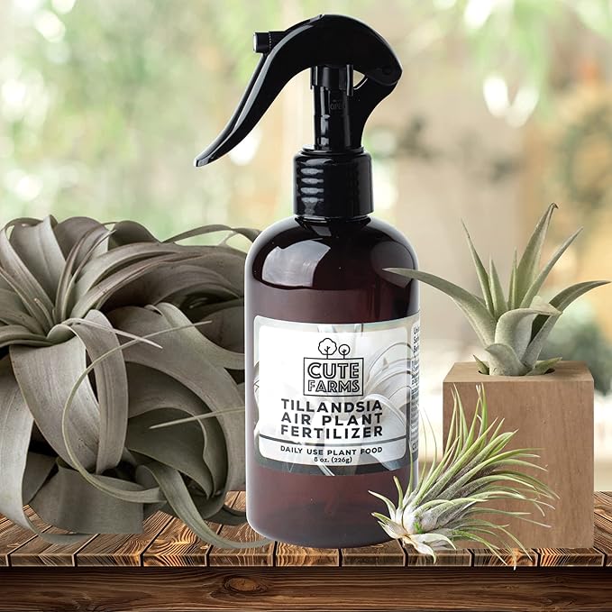 Cute Farms Tillandsia Air Plant Fertilizer | Gentle Daily Use Formula Plant Food | Formulated Nutrients for Air Plants (Two - 8 oz. Spray Bottles)
