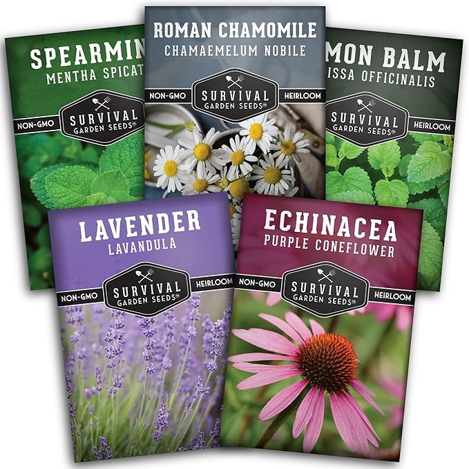 Herbal Tea Garden Seeds Kit | 5 Medicinal Herbs for Planting – Chamomile, Lavender, Lemon Balm, Spearmint, Echinacea – Heirloom Non-GMO – Survival Garden Seeds