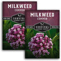Common Milkweed Seeds for Planting - 2 Packets with Instructions Grow Asclepias Syriaca Wildflowers - Attract Monarch Butterflies & Help Conservation Non-GMO Heirloom Variety - Survival Garden Seeds