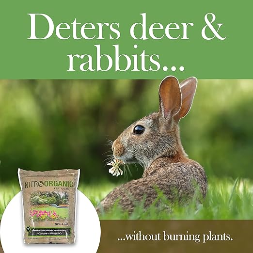 Natural Plant Food Fertilizer, 36lbs - Provides Optimal Nutrient Intake to Enhance Root Growth in Lawns, Gardens, Raised Beds, Seedlings & More - Slow Release