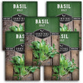 Holy Basil Seed for Planting - Indian Sacred Herb Tulsi Seeds to Grow in Your Home Vegetable Garden - Non-GMO Heirloom Variety - Survival Garden Seeds (5 Packs)