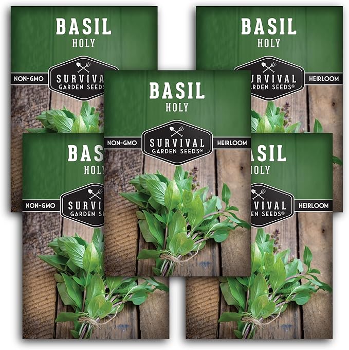 Holy Basil Seed for Planting - Indian Sacred Herb Tulsi Seeds to Grow in Your Home Vegetable Garden - Non-GMO Heirloom Variety - Survival Garden Seeds (5 Packs)