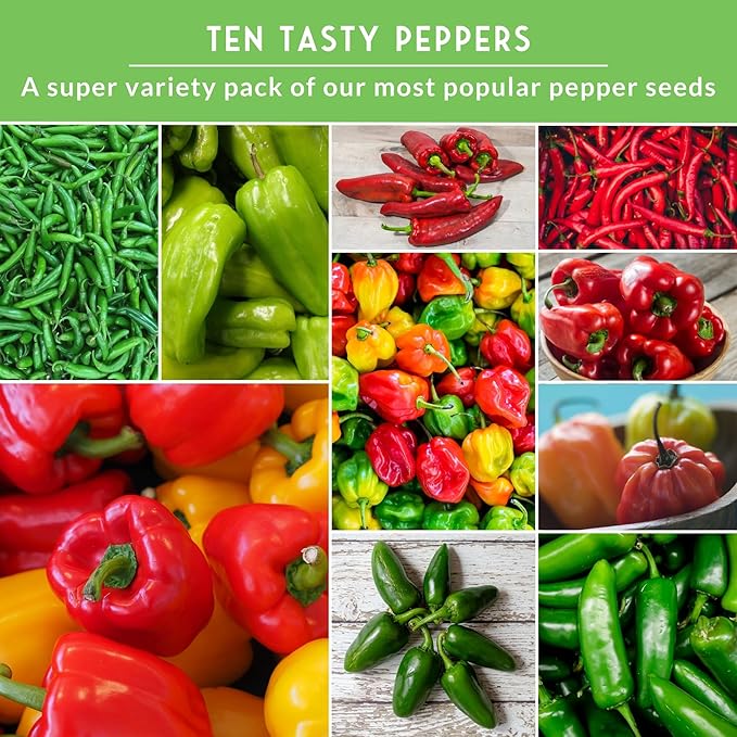 10 Pepper Seed Packs for Planting | Jalapeño, Serrano, Cayenne, Bell, Habanero, Cubanelle, & More – Hot & Sweet Heirloom Non-GMO Peppers Collection – Survival Garden Seeds
