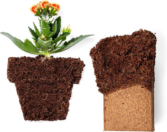 Coco Coir 650gm Bricks (5-Pack) + Worm Bliss (1 Gallon) - Organic Coco Coir for Plants & Worm Castings for Plants - Coconut Coir Bricks - Earthworm Castings Worm Fertilizer - Garden Soil Potting Mix