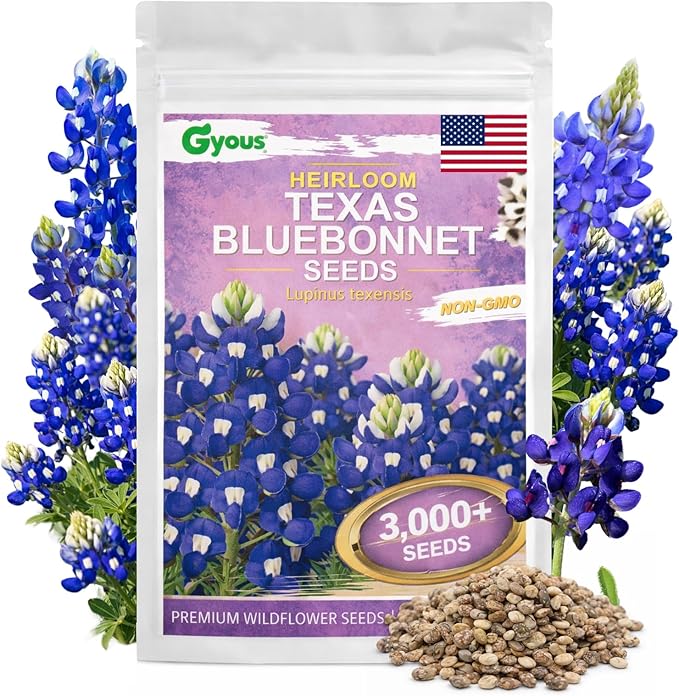 Texas Bluebonnet Seeds 3000+ to Plant - Lupinus texensis Full Growing Guide - Iconic Annual Blue Wildflower - Drought Tolerant for Meadows & Gardens - Fall Planting for Spring Blooms