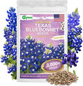 Texas Bluebonnet Seeds 3000+ to Plant - Lupinus texensis Full Growing Guide - Iconic Annual Blue Wildflower - Drought Tolerant for Meadows & Gardens - Fall Planting for Spring Blooms