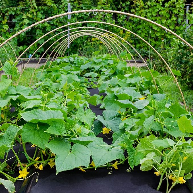 Weed Barrier Landscape Fabric, 3.2oz Premium Heavy-Duty Weed Blocker Fabric Gardening Ground Cover Mat, Weed Control Garden Cloth with U-Shaped Securing Pegs