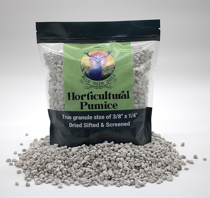 Horticultural Pumice - 2.5 Dry quarts - Cactus Succulent Bonsai Soil Amendment
