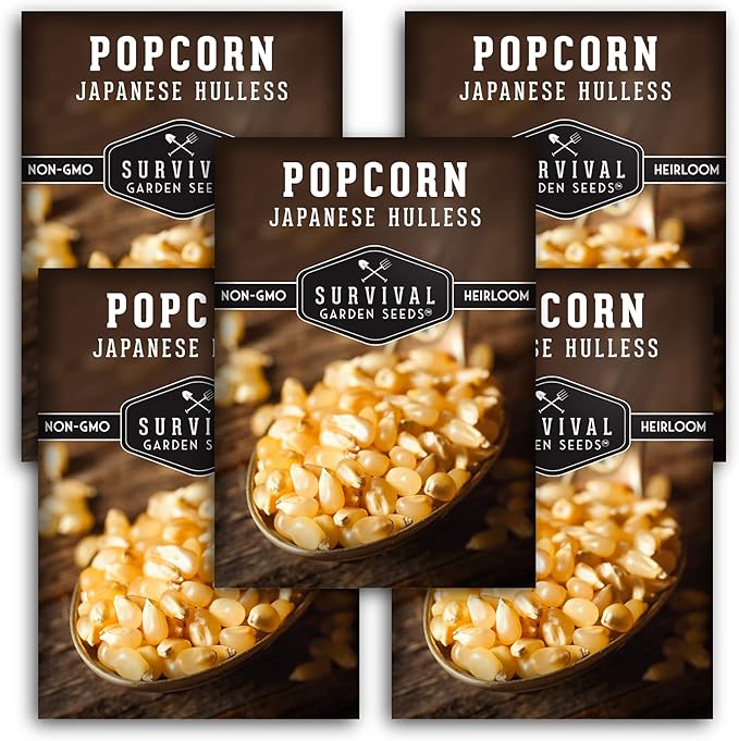 Survival Garden Seeds - Japanese Hulless Popcorn Seed for Planting - 5 Packets with Instructions to Plant & Grow Delicious Kernel Popcorn in Your Home Vegetable Garden - Non-GMO Heirloom Variety Seed