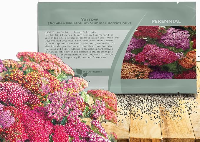 Outsidepride Summer Berries Mix Yarrow Seeds – 2000 Pcs. Perennial, Versatile, Clump-Forming, & Drought Tolerant Flower Seeds for Planting Fragrant & Vibrant Blooms, Ideal for Pollinator Gardens