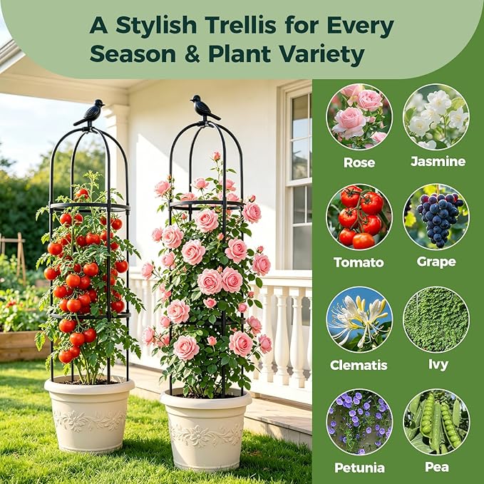 1pcs Garden Obelisk Trellis for Climbing Plants Outdoor, Tomato Cages for Garden, Metal Rustproof Plant Support Trellis for Potted Plants, Rose, Vine, Vegetable for Outdoor & Indoor Use (Black)