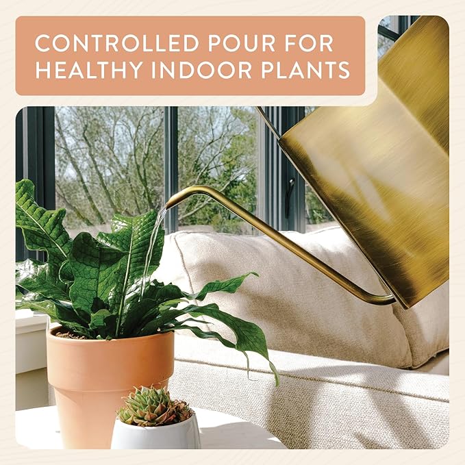 Modern Sprout Brass Finish Plant Watering Can - 3L Capacity - Long Spout Stainless Steel Vessel for Outdoor & Indoor Plants - Rust Resistant - Garden Accessory & Decorative Use - Gift for Mother's Day