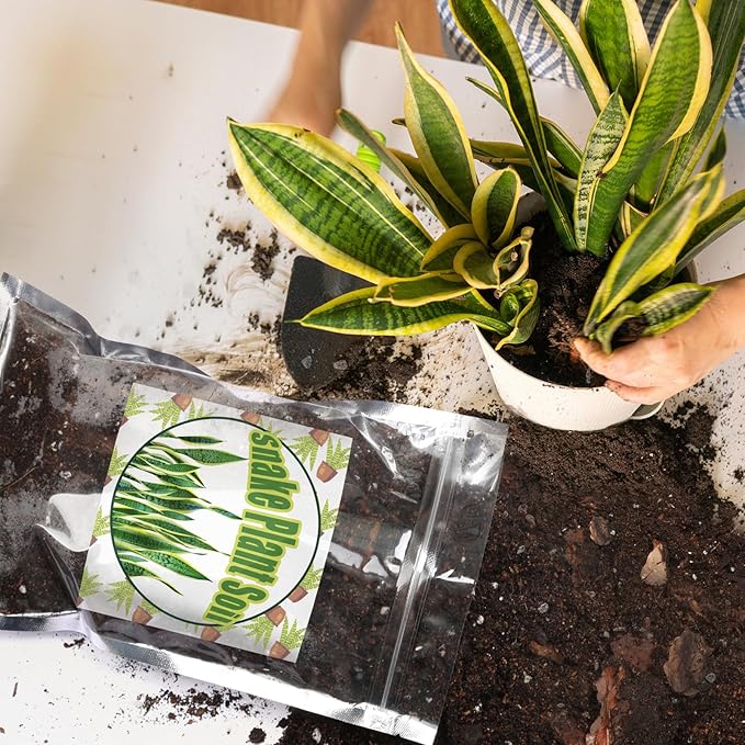 Doter Premium Snake Plant Soil Mix 10qt, Indoor Plants Potting Mix for All Potted Snake Plants, Promote Healthy Growth and Easy Care, black