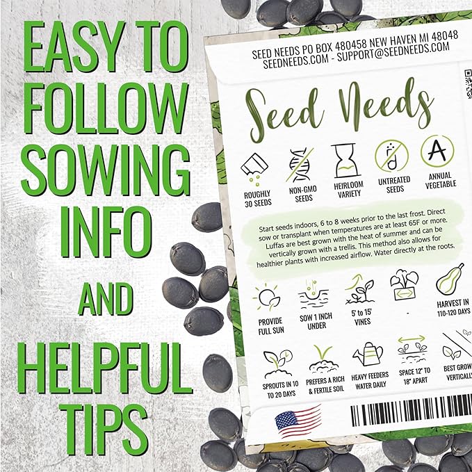 Seed Needs Luffa Seeds for Planting Loofah Sponge Gourds - Non-GMO Heirloom & Untreated Veggie Seed to Plant a Home Grown Outdoor Vegetable Garden (20 Packs)