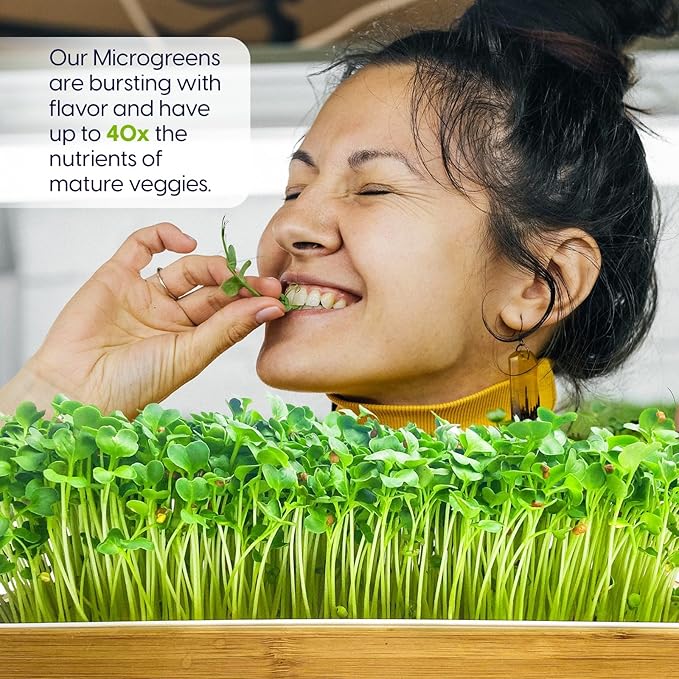 ZESTIGREENS Self Watering Microgreens Growing Kit. Hands Down The Easiest Way to Grow Microgreens. Includes Tray, Seeds, Mats, and Bamboo Surround. Great Gift for Gardeners