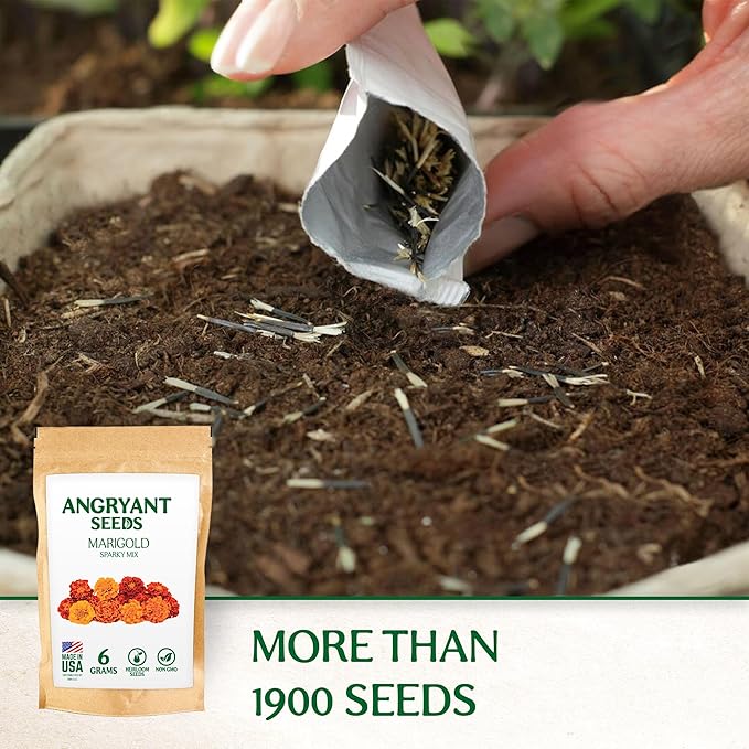 Marigold Sparky Flowered Mix - Beautiful Flowers Seeds for Planting Indoors and Outdoors in Your Home Garden - 1998+ Non GMO Mix Seeds - 100% USA Grown - Annual, Open Pollinated Wildflower Seeds Bulk