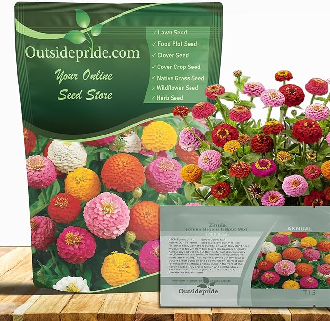 Outsidepride Zinnia Seeds - 1000 Pcs Annual Blend of Hardy Compact Mixed Color Ball-Shaped Blooms for Planting in Outdoor Containers, Borders, Flower Beds, Cutting Gardens & Pollinator-Friendly Spaces