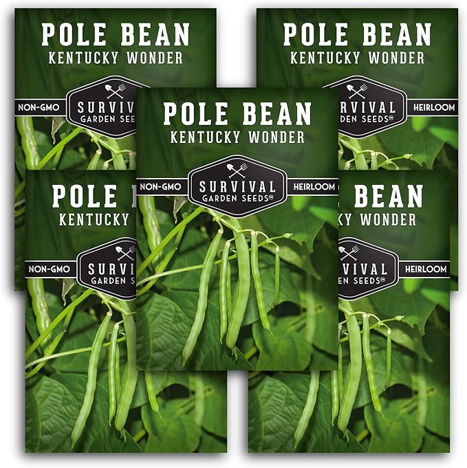 Survival Garden Seeds - Kentucky Wonder Pole Bean Seed for Planting - 5 Packets with Instructions to Plant and Grow Green Snap Beans in Your Home Vegetable Garden - Non-GMO Heirloom Variety