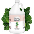 Fiddle Leaf Fig Plant Food for All Fig and Other Ficus Trees, Liquid Houseplant Fertilizer, 1 Gallon (128 oz)