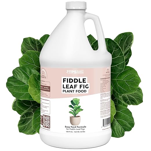 Fiddle Leaf Fig Plant Food for All Fig and Other Ficus Trees, Liquid Houseplant Fertilizer, 1 Gallon (128 oz)