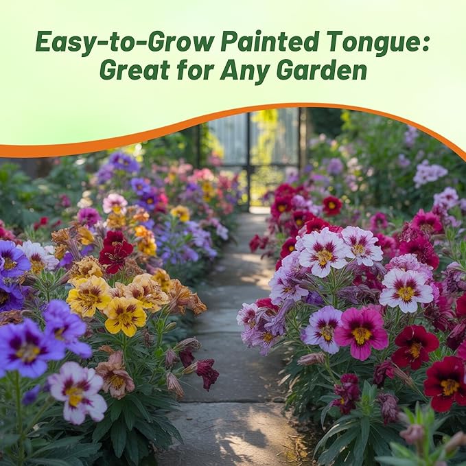 Outsidepride Painted Tongue Salpiglossis Seeds - 10000 Pcs. Annual, Versatile & Pollinator Friendly, Flower Seeds for Planting Vibrant Trumpet-Shaped Mixed Blooms for Garden Beds & Cut Flower Bouquets
